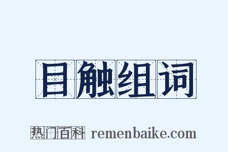 目触组词是什么意思的图片